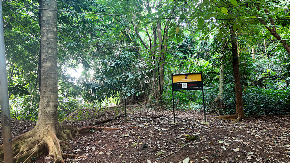 Aset Image